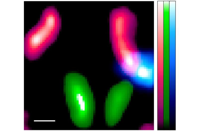 Researchers adapt technology made for astronomical observations to biomedical imaging