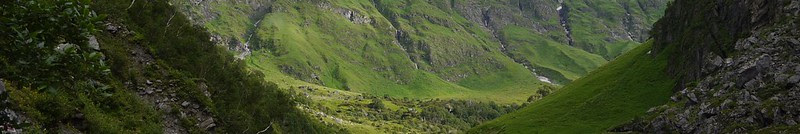 Valley of Flowers