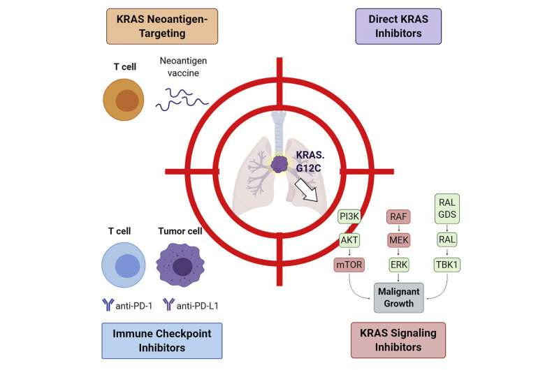 Drugging the undruggable, improbable new targets for lung cancer therapy