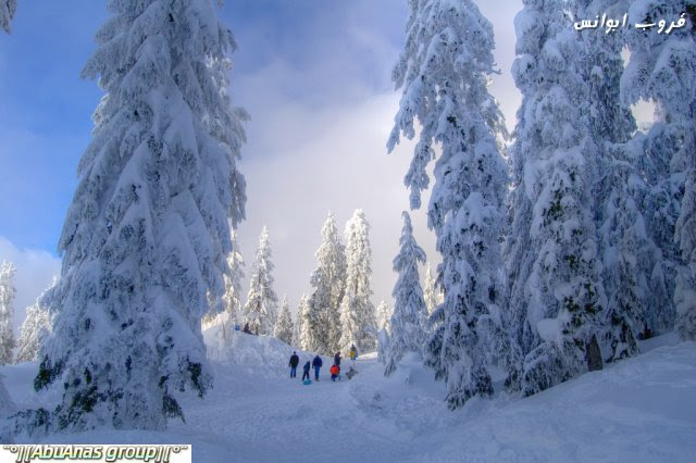 الثلوج في اوروبا