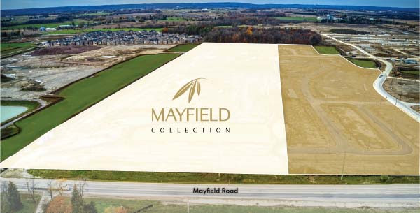 Mayfield Collection