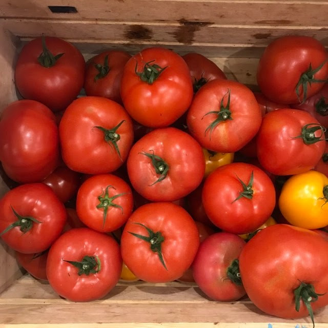 Tomates fraîches
