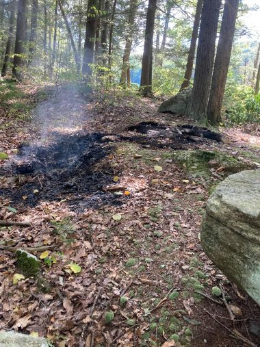 Scorched land where fire burned leaves on forest floor