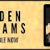 Release Day + Review: Hidden Seams by Alessandra Torre