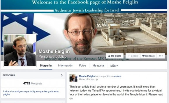 moshe feiglin