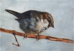 Sparrow on the Grapevine - Posted on Saturday, January 17, 2015 by Pamela Poll