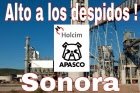 LafargeHolcim увольняет рабочих в Мексике за членство в независимом профсоюзе