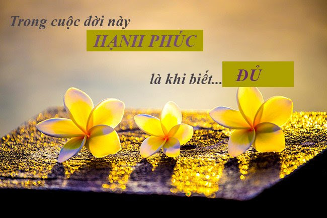 Buông bỏ bớt tham vọng, đời tự khắc đủ đầy... - 5
