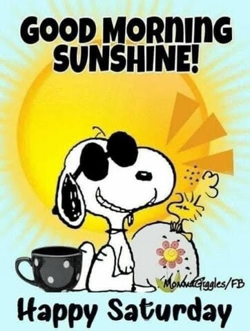 Saturday-Snoopy-Sunshine