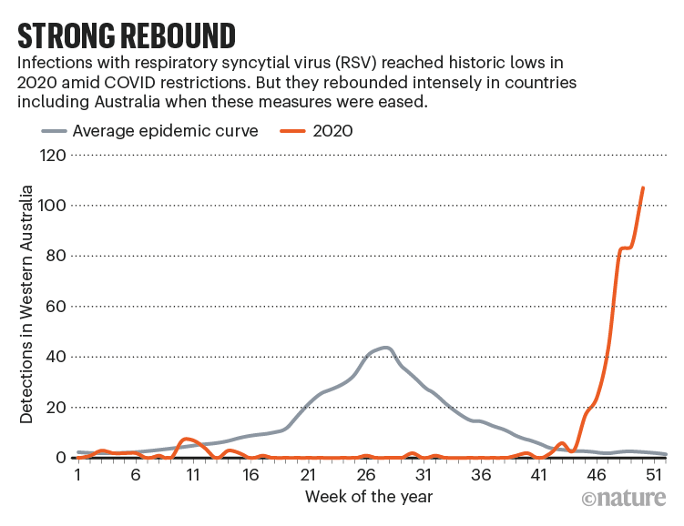 STRONG REBOUND: chart comparing the average yearly cases of respiratory syncytial virus in Western Australia with 2020