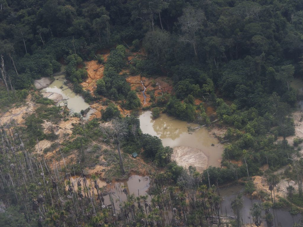 Imagem aérea do território Yanomami