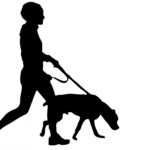 dog-walking-1425056286zhy
