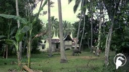 Indonesia - Unity in Diversity