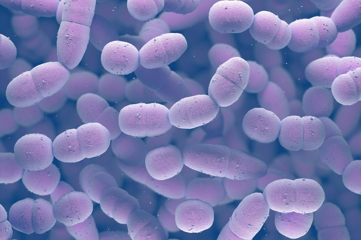 Researchers have repurposed an experimental Alzheimer's drug to fight antibiotic-resistant bacteria