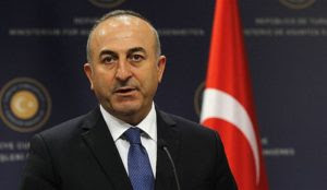 Turkey’s foreign minister: ‘We are opposed to the Muslim Brotherhood being declared a terrorist organization’