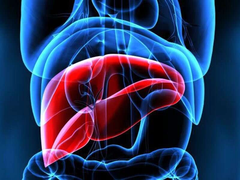 How too much drinking harms the liver