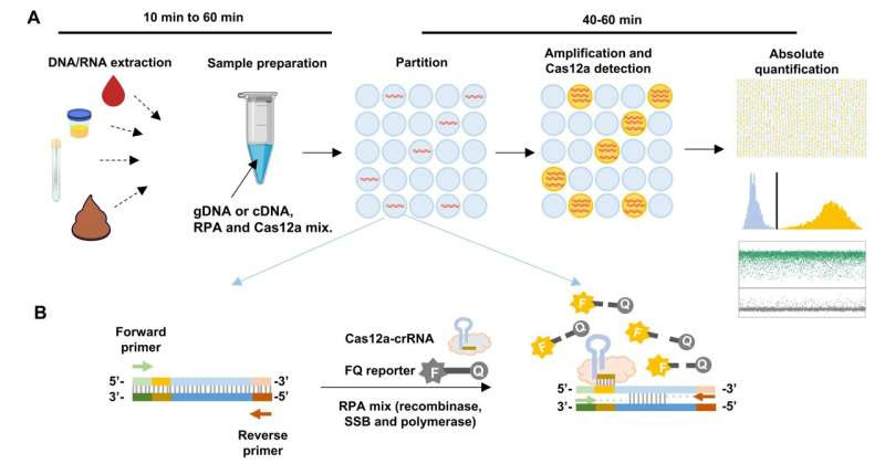 SMART Researchers Develop Method for Rapid, Accurate Detection of Viruses