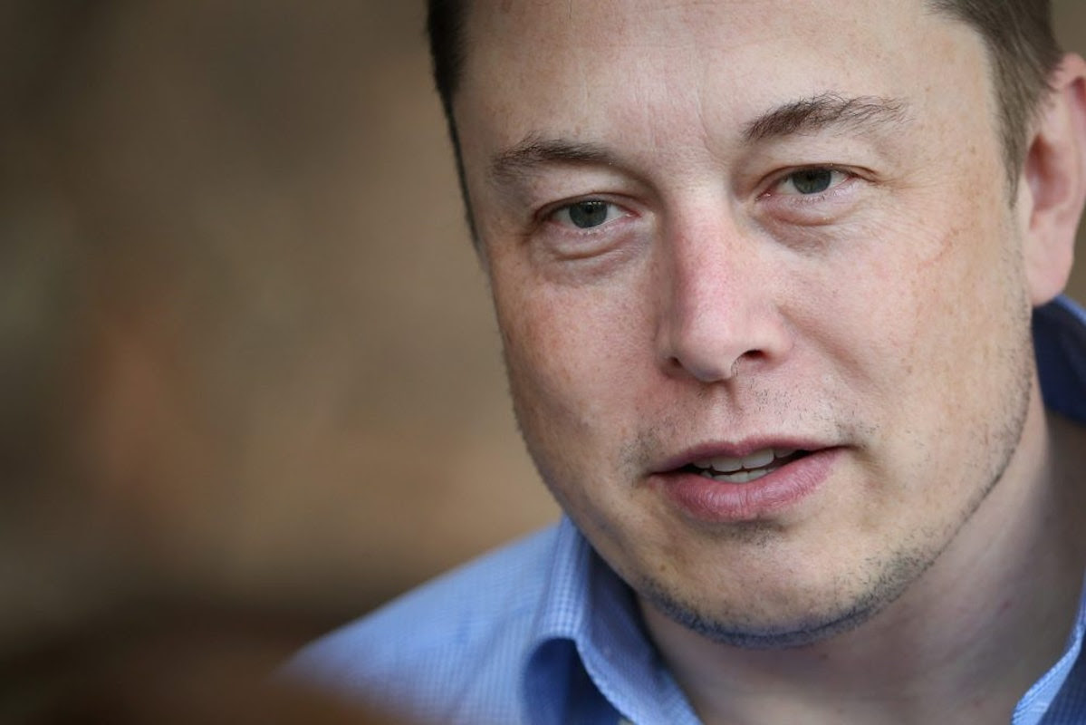 Real-Life Jurassic Park? Elon Musk Could Make It Happen, According To Business Partner