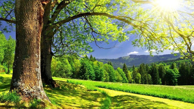 ☺Un texte par jour pour un sourire☺!!! 33778-1920x1080