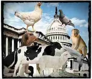 Congress building with animals.