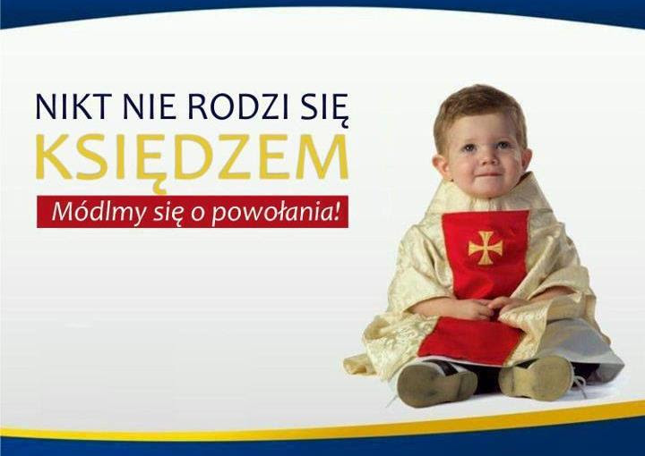 Podobny obraz