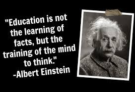 Image result for albert einstein on genius