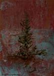 Conifer In The Snow - Posted on Tuesday, January 27, 2015 by Jana Johnson