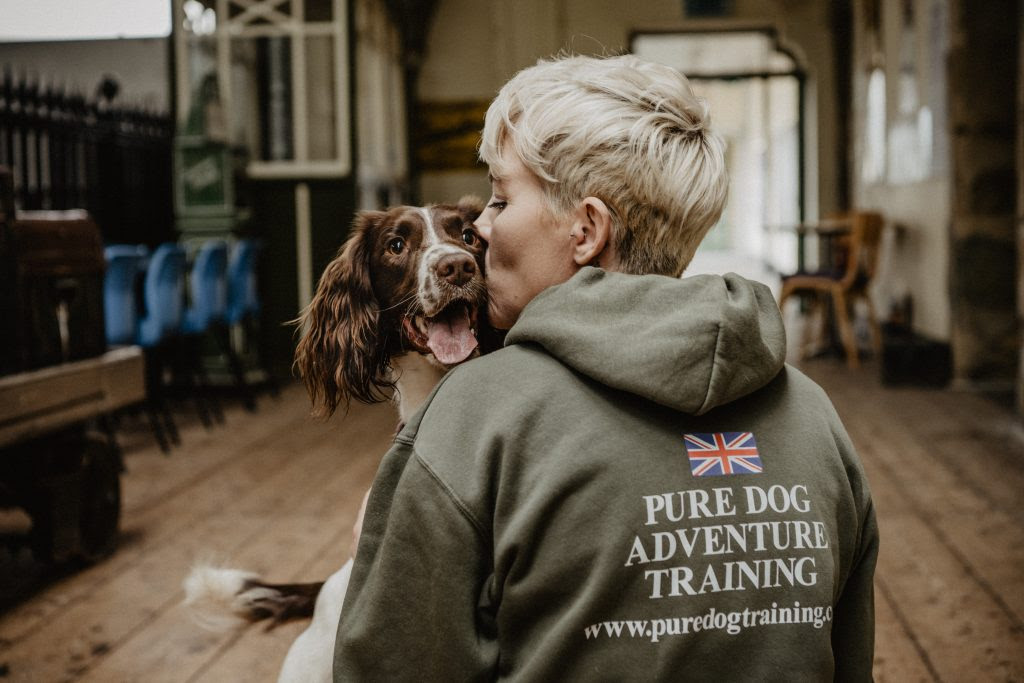 obedience exercises for dogs