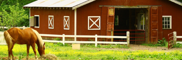 Barn on a small farm