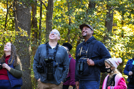 An image of two people looking at tree in a forest together. 