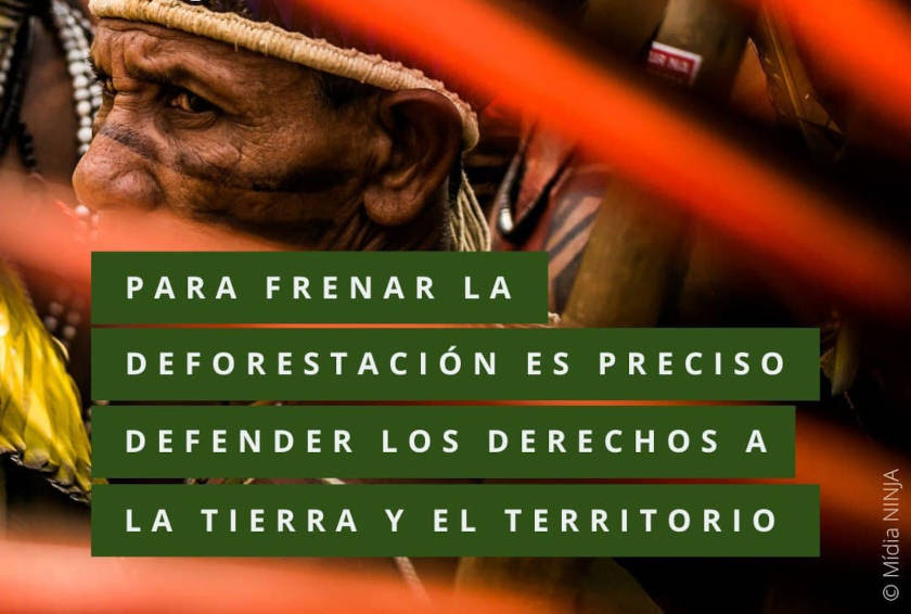 Frenar la deforestación