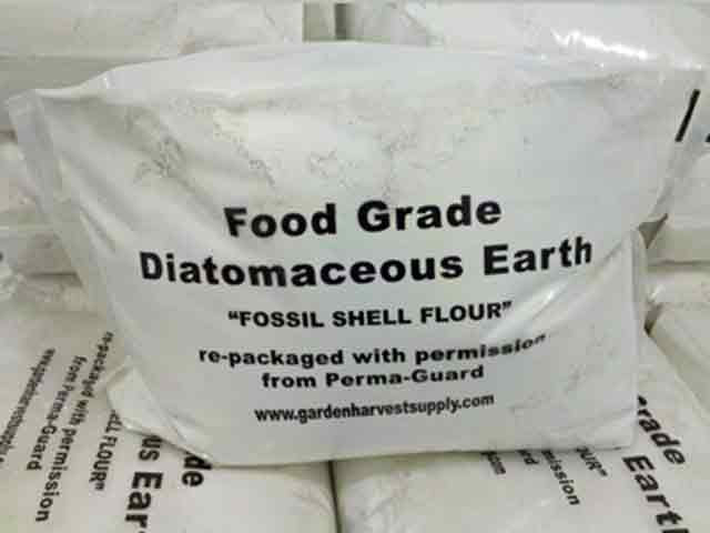 Detox With Diatomaceous Earth To Remove Allergies, Mercury, Chemicals, GMOs, Parasites