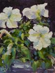 back porch petunias - Posted on Wednesday, December 10, 2014 by Dottie  T  Leatherwood