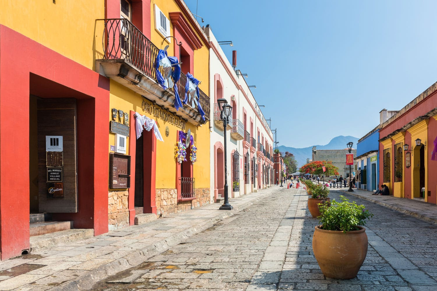 Oaxaca, Meksika Arnavut kaldırımlı sokaklarında renkli binalar