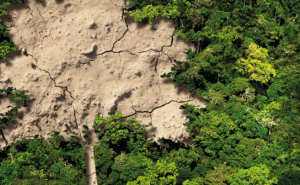 Imagen: Fotocomposición de Gonzalo Chalco. Fuente: DAR