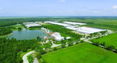 Vinamilk continues to invest in its international standard farms to ensure the quality of raw milk used in producing domestic and export products Vinamilk continues to invest in its international standard farms to ensure the quality of raw milk used in producing domestic and export products