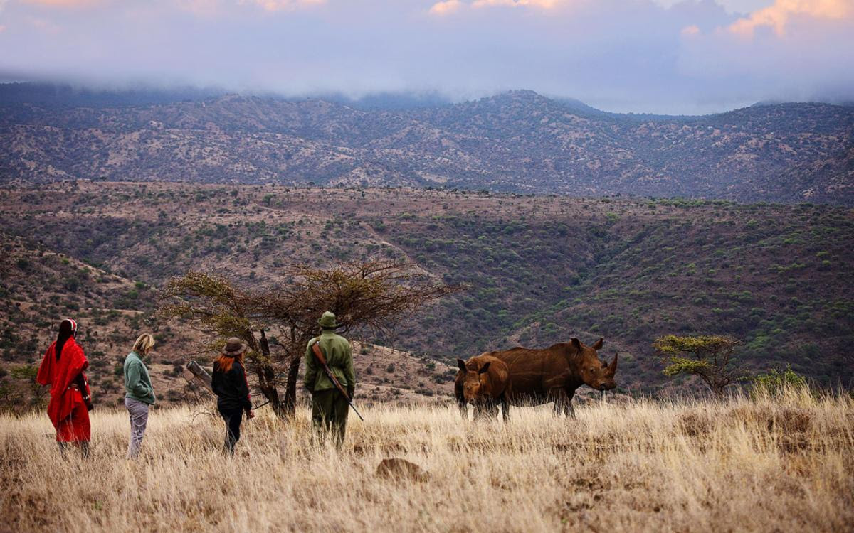 Lewa-Safari-Camp-Bush-Walk-Rhino.jpg