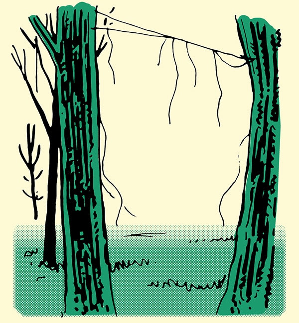 broken spider web between two trees how to track a person illustration