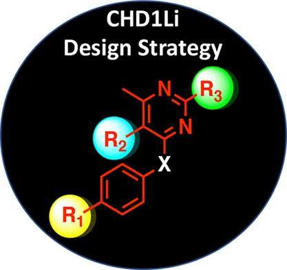 Newly developed drug shows promise against a novel oncogene that supports cancer progression