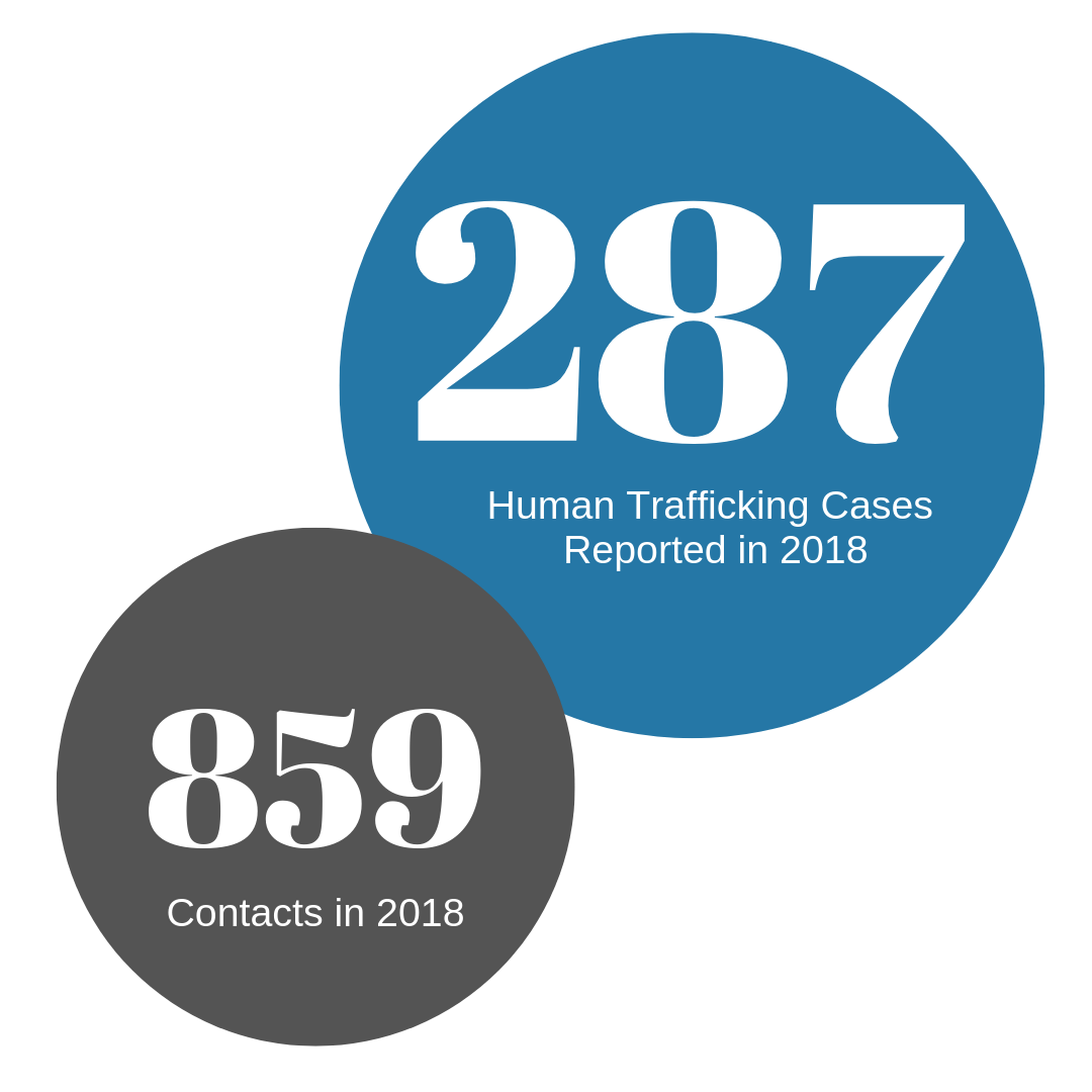 Human Trafficking Cases Reported this year