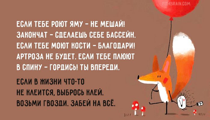 fox-advice