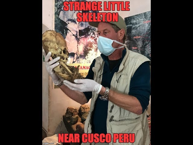 The Perplexing Ancient "Huayqui" Skeleton Of Cusco Peru  Sddefault