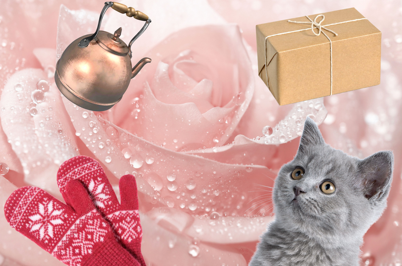 In the background is a pink rose with water droplets on its petals. Overlaid on the picture are a gray kitten with white whiskers, a copper kettle, a pair of red and white woolen mittens, and a package wrapped in brown paper and tied with string