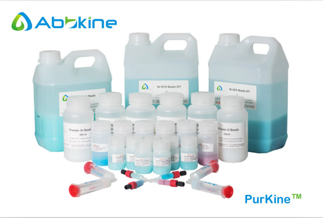Abbkine Scientific Introduces New Heparin Resin 6FF Product