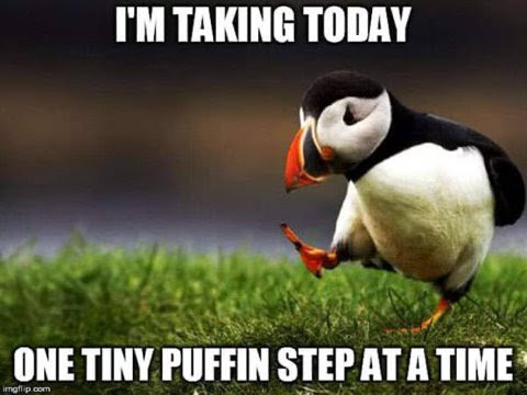 Good-Day-One-Puffin-Step