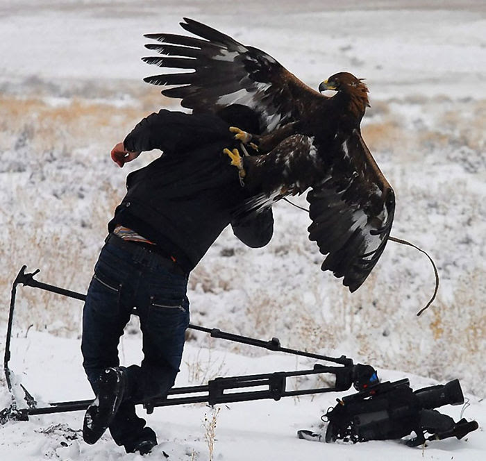 Les photographes animaliers... les animaux sentent leur bienveillance Nature-photographers-29__700