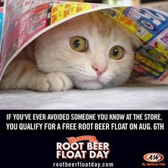 26 National Root Beer Float Day ideas | floating day, root beer float ...