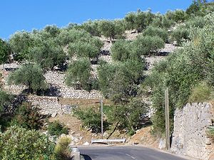 Restanques Restanques