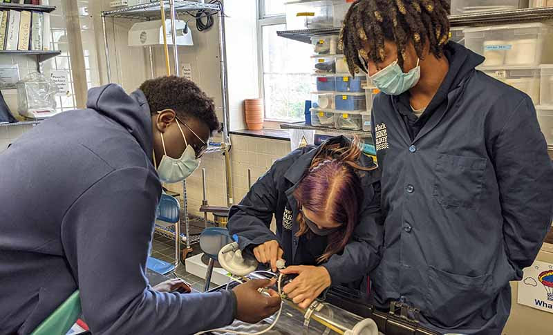 marine Bio student in the Lab