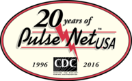 Logo: PulseNet's 20th year anniversary